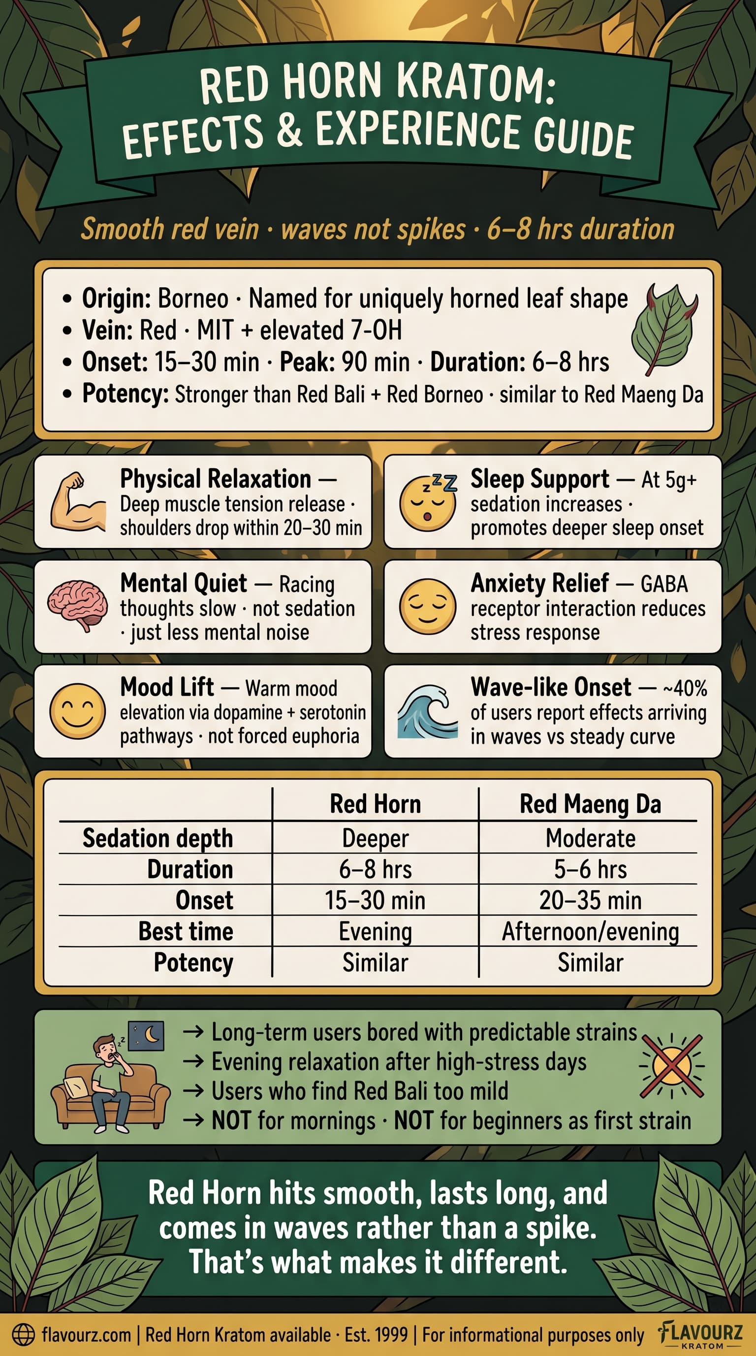 infographic for What Effects Does Red Horned Kratom Produce